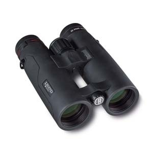 Bushnell EXCURSION HD 10X42