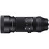 Sigma 100-400mm F5-6.3 DG DN OS (C) SE   SONY_